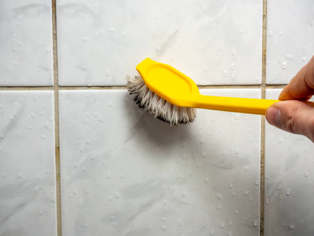 Best Home Mold Removal  in Forsyth, IL