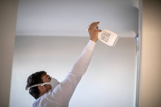 Best Fast Mold Removal  in Forsyth, IL