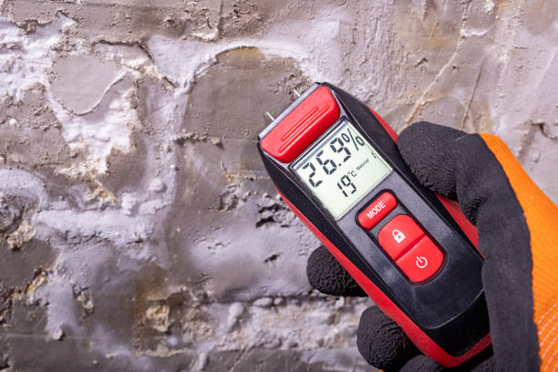 Best Toxic Mold Removal  in Forsyth, IL