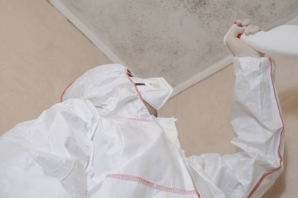 Best Water Damage Restoration  in Forsyth, IL