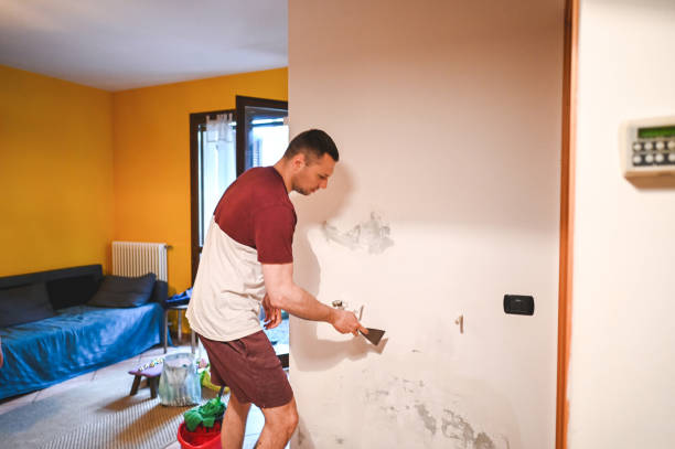 Best Commercial Mold Removal  in Forsyth, IL